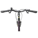 Rower crossowy X-Cross 5.0 M19 męski Czarno-brązowy 2021 #1128