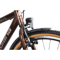 Rower crossowy X-Cross 5.0 M19 męski Czarno-brązowy 2021 #1073