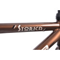 Rower crossowy X-Cross 5.0 M19 męski Czarno-brązowy 2021 #1454