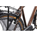 Rower crossowy X-Cross 5.0 M19 męski Czarno-brązowy 2021 #807