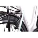 Rower crossowy X-Cross 5.0 M19 męski Czarno-brązowy 2021 #1371