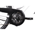 Rower crossowy X-Cross 5.0 M19 męski Czarno-brązowy 2021 #1117