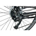 Rower crossowy X-Cross 5.0 M19 męski Czarno-brązowy 2021 #1397
