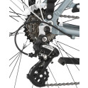 Rower crossowy X-Cross 5.0 M19 męski Czarno-brązowy 2021 #1424