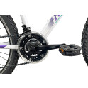 Rower crossowy X-Cross 5.0 M19 męski Czarno-brązowy 2021 #1602