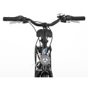 Rower crossowy X-Cross 5.0 M19 męski Czarno-brązowy 2021 #1339