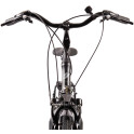 Rower crossowy X-Cross 5.0 M19 męski Czarno-brązowy 2021 #551