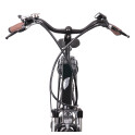 Rower crossowy X-Cross 5.0 M19 męski Czarno-brązowy 2021 #973