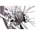 Rower crossowy X-Cross 5.0 M19 męski Czarno-brązowy 2021 #1596