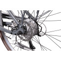 Rower crossowy X-Cross 5.0 M19 męski Czarno-brązowy 2021 #1478